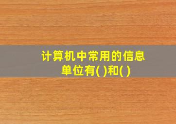 计算机中常用的信息单位有( )和( )